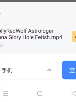 [转载搬运] MollyRedWolf - COS原神占星术士莫娜被人在荣誉洞调教 【迅雷下载】 [1+4.4G][其他下载方式]