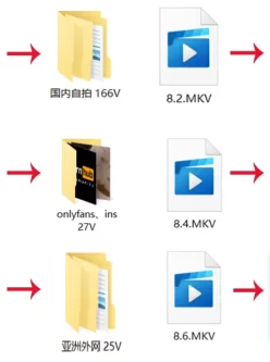 [自行打包] 超大型合集之【我把黄网搬空了】第八弹 [291V+52G][百度盘]